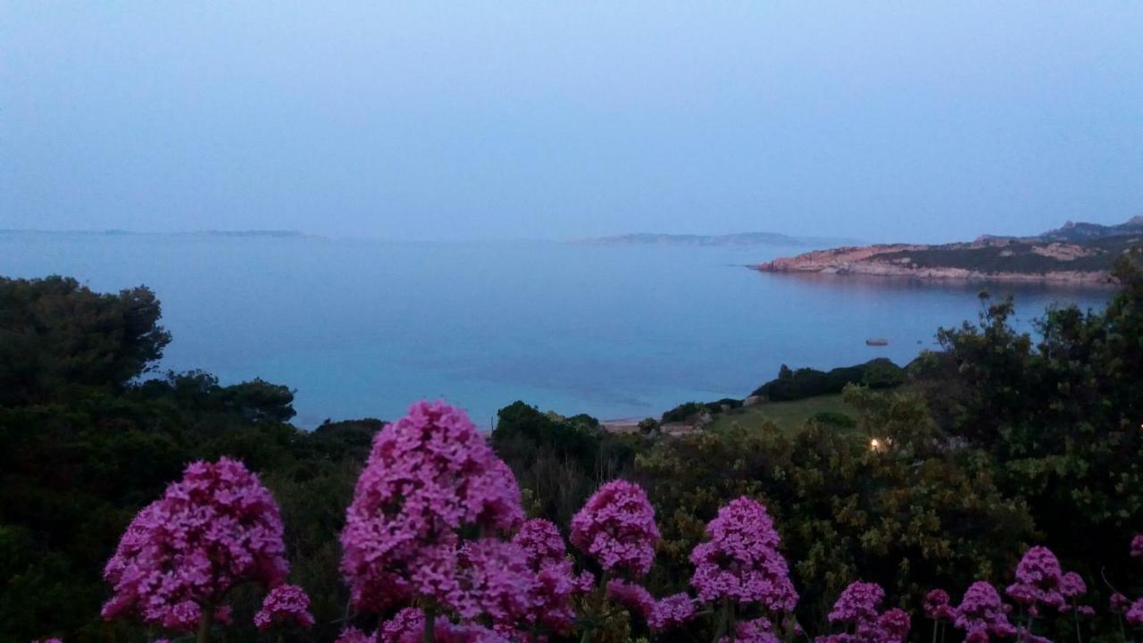 Appartamento Fronte Mare Santa Teresa Gallura Exteriér fotografie